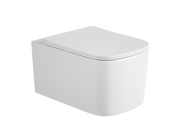 Wall-hung Toilet